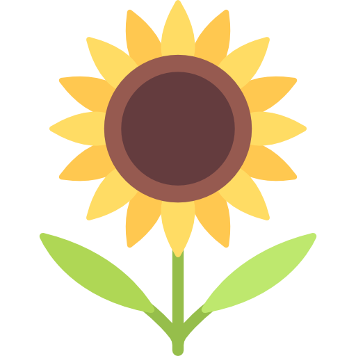 sunflower (1)