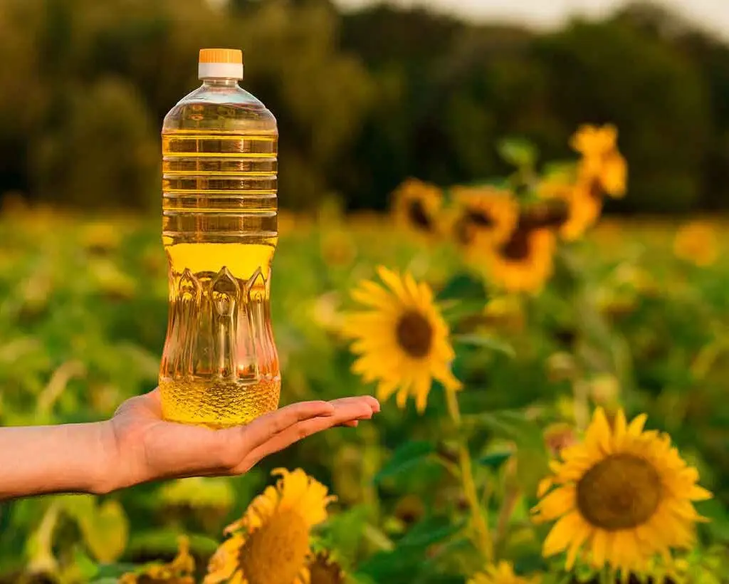 sunflower oil